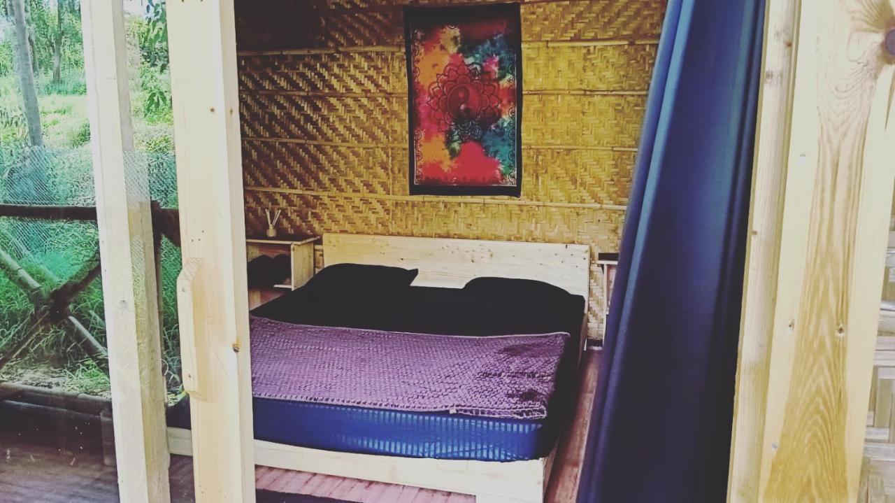 Banana Tree Home Stay Hampi Esterno foto